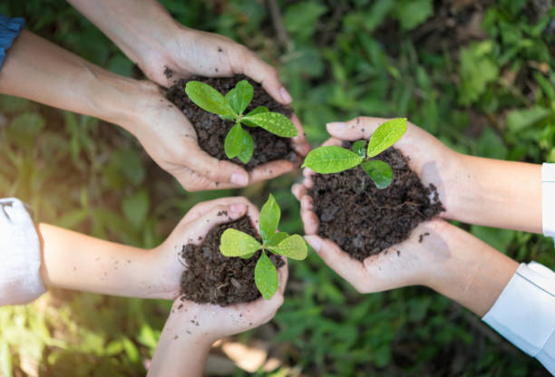 istock People hand group planting a seed in soil agriculture 948771198