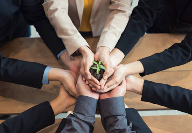 istock Unity of businesspeople protecting small sprout with hands 948772472