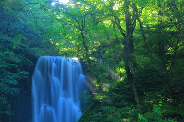 istock Kameda immobile waterfall in the summer 948778622