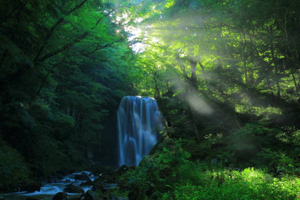 istock Kameda immobile waterfall in the summer 948778806