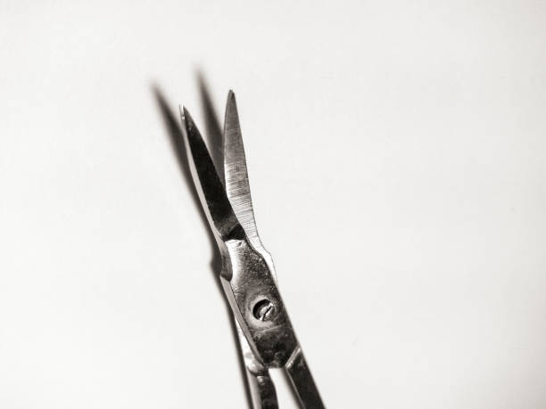 istock Precision Metal Nail Scissors, Trimmers, Clippers. Closeup. 948778850