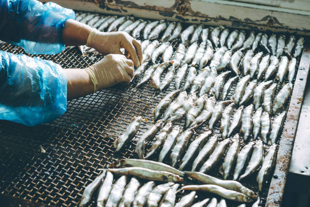 istock fish seafood factory 948779726