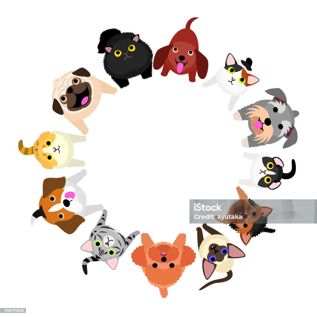 Sitting Small Dogs And Cats Looking Up Circle Stock Illustration - Download  Image Now - Domestic Cat, Looking Up, Sitting - iStock