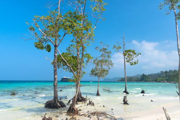 Port Blair Stock Photos, Pictures & Royalty-Free Images - iStock Port Blair Stock Photos, Pictures & Royalty-Free Images - iStock