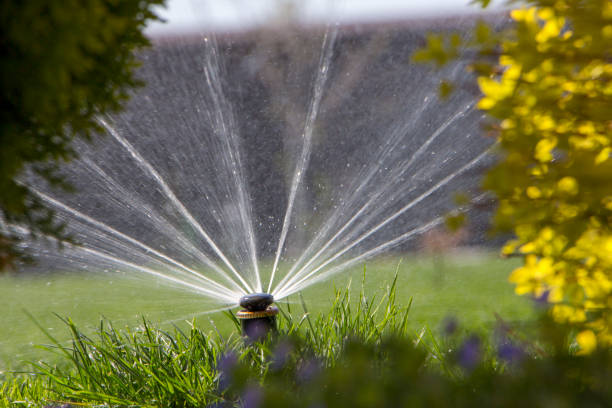 istock automatic sprinkler system watering the lawn on a background of green grass 948789296