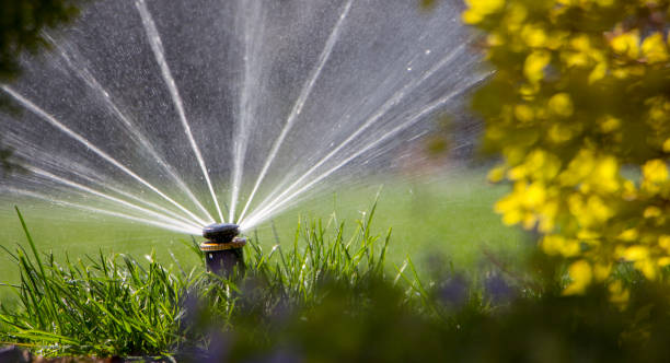 istock automatic sprinkler system watering the lawn on a background of green grass 948789322