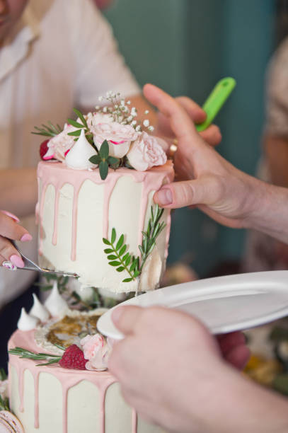istock The bride cuts the cake into pieces for the guests 9682. 948789352