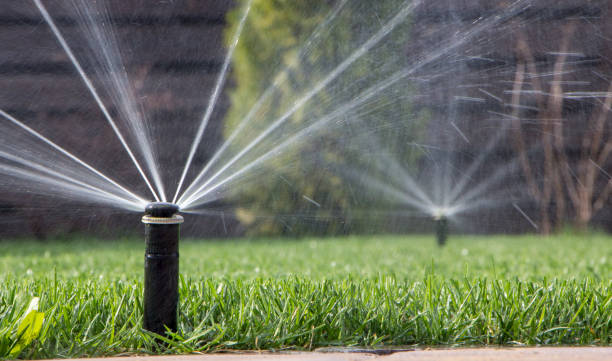 istock automatic sprinkler system watering the lawn on a background of green grass 948789522