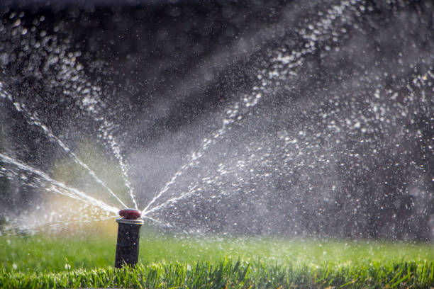 istock automatic sprinkler system watering the lawn on a background of green grass 948789618