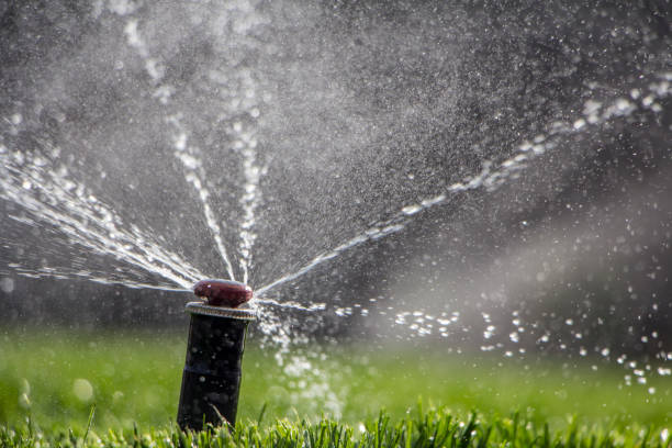 istock automatic sprinkler system watering the lawn on a background of green grass 948789644