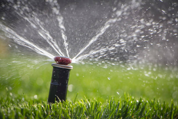 istock automatic sprinkler system watering the lawn on a background of green grass 948789666