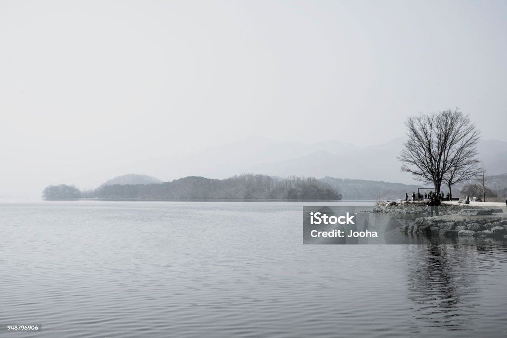 Morning of a tranquil lake Tranquil lakes offer solitude amid the swirl of urban life Animal Wildlife Stock Photo