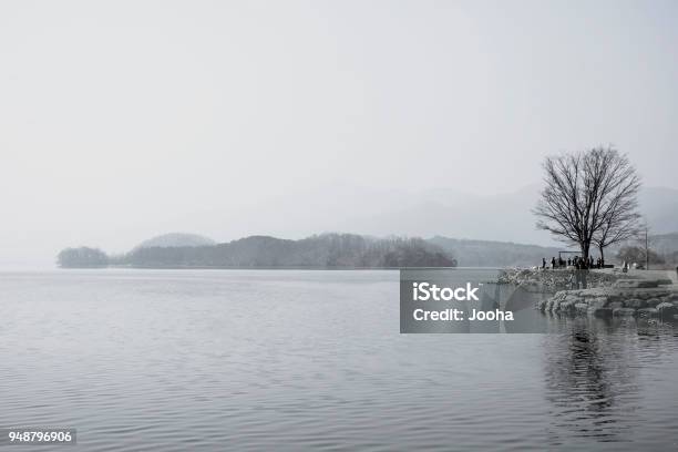 Morning Of A Tranquil Lake Stock Photo - Download Image Now - Animal Wildlife, Animals In The Wild, Bird