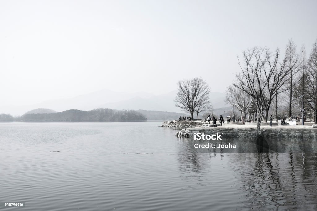 Morning of a tranquil lake Tranquil lakes offer solitude amid the swirl of urban life Animal Wildlife Stock Photo