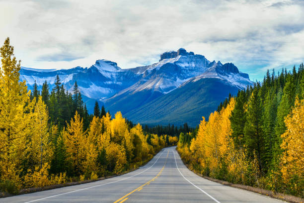 icefield parkway nel parco nazionale di jasper in autunno, canada - autumn road landscape mountain foto e immagini stock