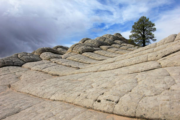脳、ホワイト ポケット、コヨーテのビュート南 cbs、パリア渓谷朱崖の荒野、アリゾナで岩の形成 - usa dirt road rock sandstone ストックフォトと画像