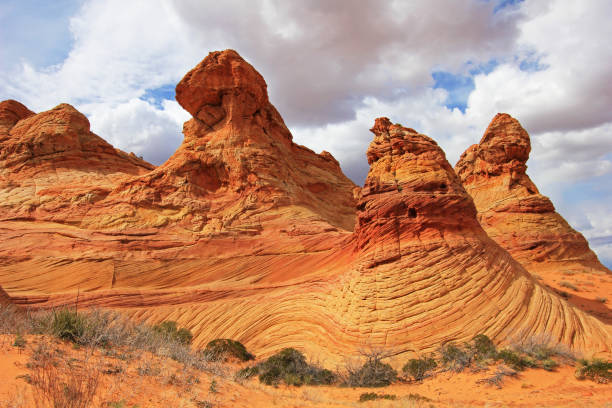 コットンウッド ティーピー、コヨーテのビュート南 cbs、パリア渓谷朱崖の荒野、アリゾナで波の近くの岩の形成 - usa dirt road rock sandstone ストックフォトと画像