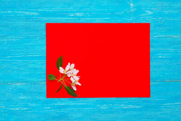 apple flowers on red paper card over turquoise wooden planks