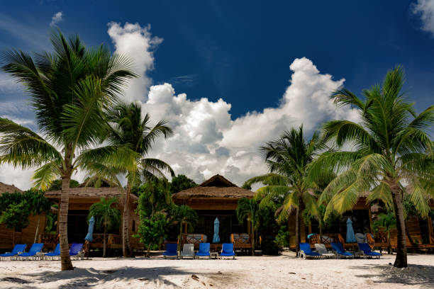 istock Tropical beach with stylish wooden bungalows. 948832446