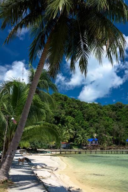 Tropical beach with turquoise clean water, koh rong samloem