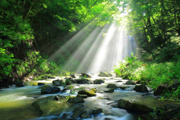 istock Kameda immobile waterfall in the summer 948837432