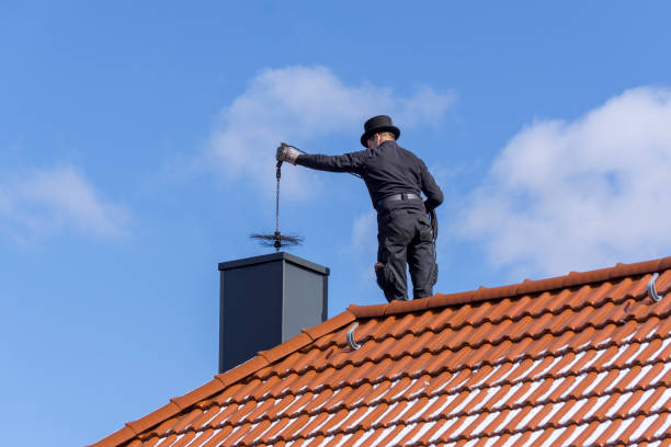 lo spazzacamino pulisce il camino durante la manutenzione annuale. - chimney sweeping foto e immagini stock