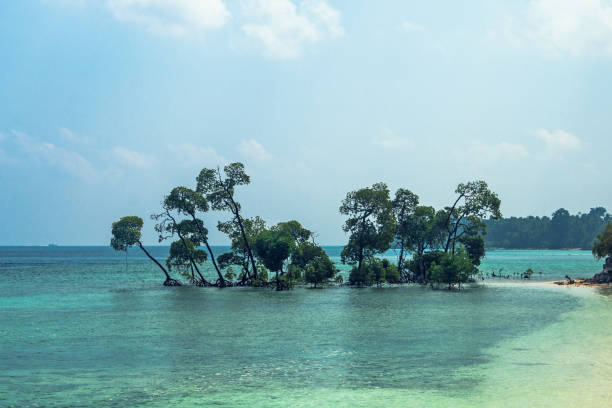 Beautiful seascape of an exotic tropical island in the Indian ocean Havelock Island jetty - one of the premier tourist destination in the Andaman and Nicobar Islands, India. Beautiful seascape of an exotic tropical island in the Indian ocean andaman sea stock pictures, royalty-free photos & images