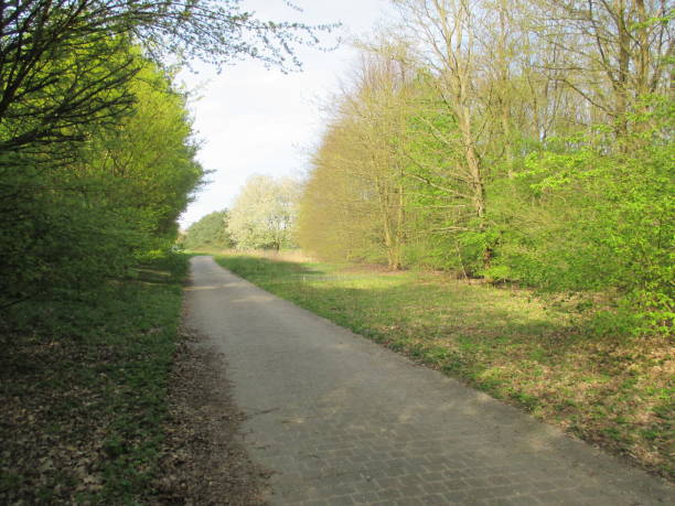 istock Pedestrian path for hiking in a park in the Paris region 948843524