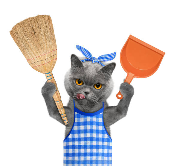 istock Cat holds broom and scoop in paws. Isolated on white 948843698