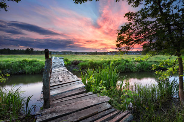 istock Old wooden bridge across the river 948848036