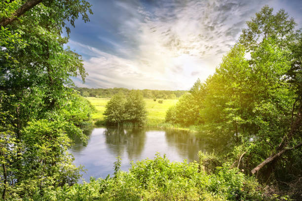istock River bank with the green trees and meadow 948851048