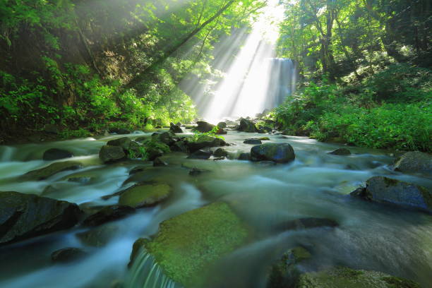 istock Kameda immobile waterfall in the summer 948851890
