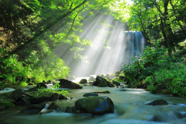 istock Kameda immobile waterfall in the summer 948857238