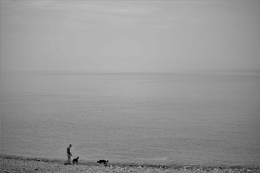 Man walking dogs at the beach