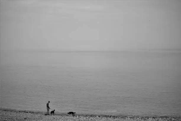 Misty day at the beach with a man walking his dogs. A beach in Wales.