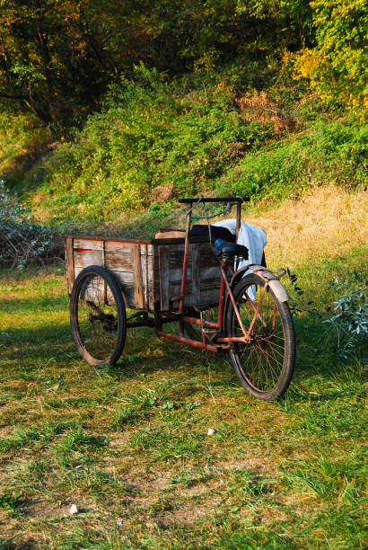 istock Old bicycle with three wheels used to transport freshly picked olives 948857266