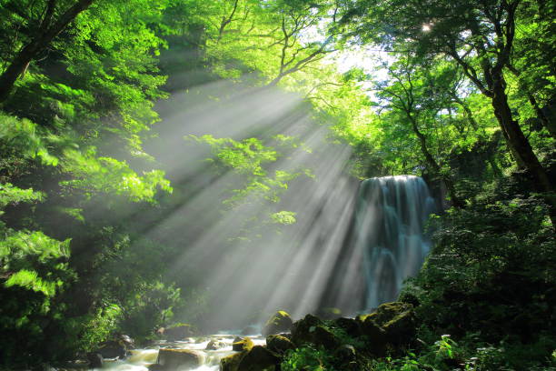 istock Kameda immobile waterfall in the summer 948863878