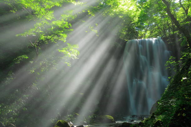 istock Kameda immobile waterfall in the summer 948868934