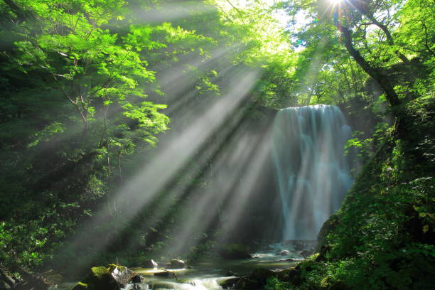 istock Kameda immobile waterfall in the summer 948873402