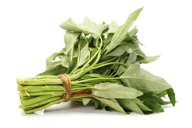 istock Morning glory Chinese vegetables on white background 948874818