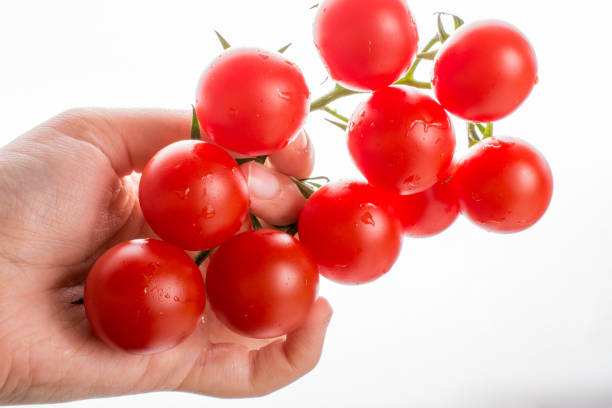 istock Bunch of red ripe  cherry tomatos in hand 948875454