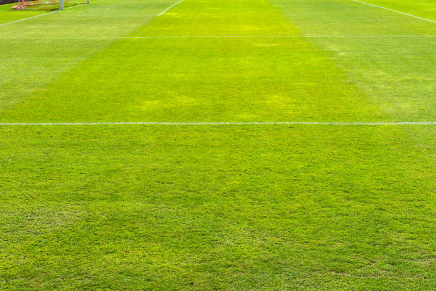 verde grama no estádio de futebol. grama de campo de futebol com estádio sobre fundo de céu azul. - recreate - fotografias e filmes do acervo