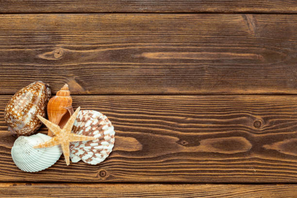 istock Beach accessories on wooden board 948881926