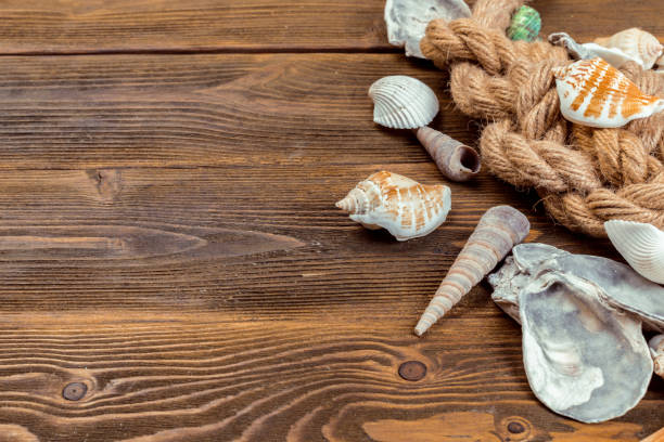 istock Seashells border on wood. Marine background 948882084