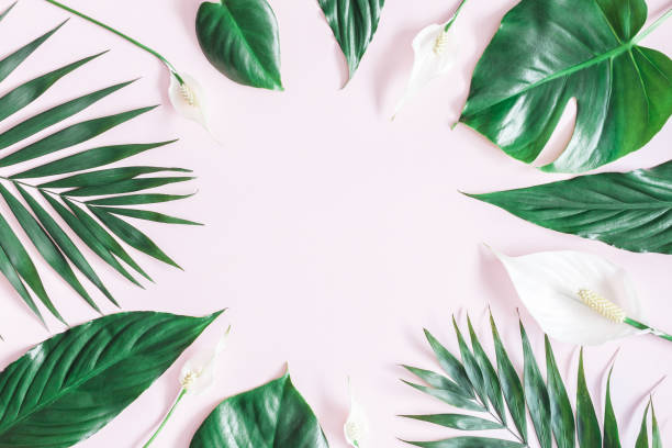 istock Green tropical leaves and white flowers. Flat lay, top view 948890866