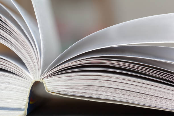 istock Close up opened book page with blurry background 948898508