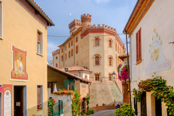 The castle of Barolo, whose first documentations come from the 10th century, now hosts the WiMu, a museum rich in installations that help visitors to learn the story of wine and the Langhe, a hill area mostly based on vine cultivation and well known for the production of Barolo wine.