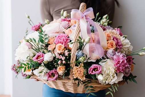 Very nice young woman holding a colourful fresh blossoming huge flower basket on the grey wall background