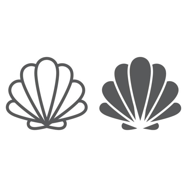 Seashell line and glyph icon, animal and underwater, shell sign vector graphics, a linear pattern on a white background, eps 10. Seashell line and glyph icon, animal and underwater, shell sign vector graphics, a linear pattern on a white background, eps 10. seashell stock illustrations
