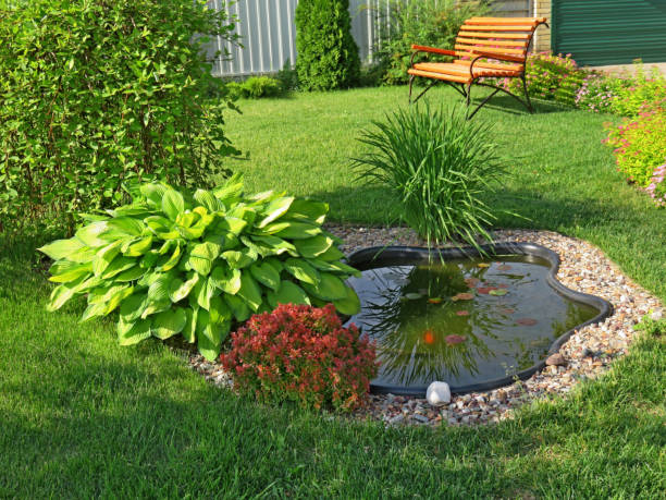 istock Small pond in the garden with a lawn and bench 948916692